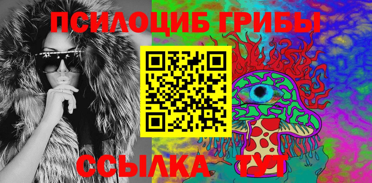 Ахтубинск  Псилоцибиновые грибы MAGIC MUSHROOMS  Вход с VPN 